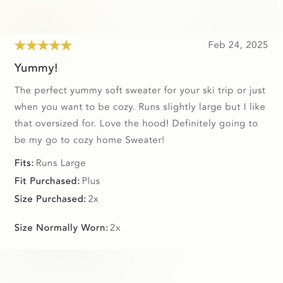 NWT Size M (P2P 26") - Anthropologie Relaxed Hooded Sweater - Picture 2 of 16